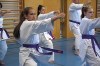 10 neue Braungurte bei SU Bushido Echsenbach