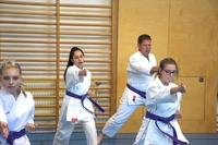 10 neue Braungurte bei SU Bushido Echsenbach