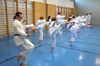 10 neue Braungurte bei SU Bushido Echsenbach