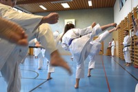 10 neue Braungurte bei SU Bushido Echsenbach