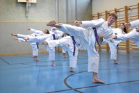 10 neue Braungurte bei SU Bushido Echsenbach