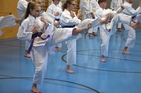 10 neue Braungurte bei SU Bushido Echsenbach