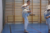 10 neue Braungurte bei SU Bushido Echsenbach