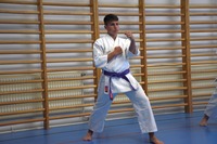 10 neue Braungurte bei SU Bushido Echsenbach