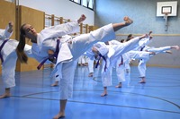 10 neue Braungurte bei SU Bushido Echsenbach