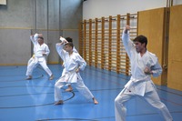 10 neue Braungurte bei SU Bushido Echsenbach