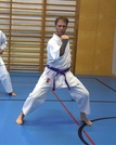 10 neue Braungurte bei SU Bushido Echsenbach