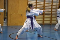 10 neue Braungurte bei SU Bushido Echsenbach