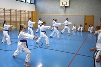 10 neue Braungurte bei SU Bushido Echsenbach