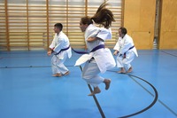 10 neue Braungurte bei SU Bushido Echsenbach