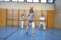 10 neue Braungurte bei SU Bushido Echsenbach