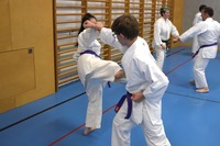 10 neue Braungurte bei SU Bushido Echsenbach