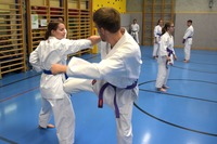 10 neue Braungurte bei SU Bushido Echsenbach