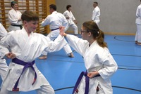 10 neue Braungurte bei SU Bushido Echsenbach