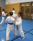 10 neue Braungurte bei SU Bushido Echsenbach