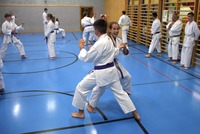 10 neue Braungurte bei SU Bushido Echsenbach