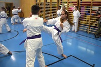 10 neue Braungurte bei SU Bushido Echsenbach