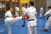 10 neue Braungurte bei SU Bushido Echsenbach