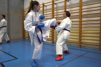 10 neue Braungurte bei SU Bushido Echsenbach