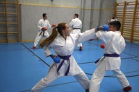 10 neue Braungurte bei SU Bushido Echsenbach