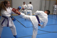 10 neue Braungurte bei SU Bushido Echsenbach