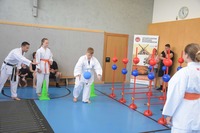 Karate Kids neu eingefärbt