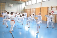 Karate Kids neu eingefärbt