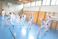 Karate Kids neu eingefärbt