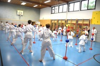 Karate Kids neu eingefärbt