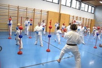 Karate Kids neu eingefärbt